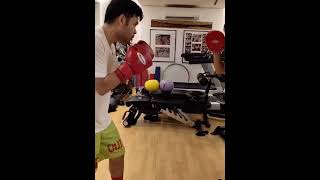 Micheal Pacquiao mitts training [upl. by Atinit]