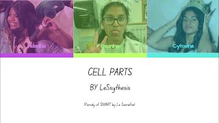 LE SSYNTHESIS  CELL PARTS ColorCoded Lyric Video [upl. by Mainis]