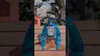 I dont think hes doing alright gorillatag gtag animation vr blender roblox flamingo [upl. by Gabriela186]