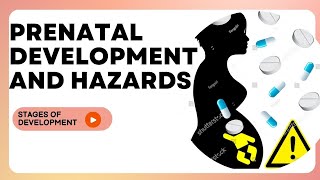 Prenatal Stage Development and Hazards psychologystudies psychologystudents braou [upl. by Dorwin312]