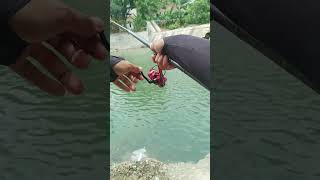 Mancing baby ikan balar  brek  tawes sirip merah di cekdam [upl. by Alves]