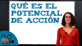 Qué es el potencial de acción [upl. by Meris]