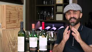 Desafio América do Sul Trivento Malbec vs Ventisquero Carmenere vs Miolo Merlot [upl. by Leohcin]