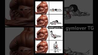 🏋️‍♂️🏋️‍♂️♥️Powerful Biceptricep all exercise tips💯😘💪 tanieh gymlover TG youtubeshorts [upl. by Adnoved729]