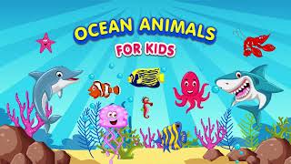 Ocean Animals for Kids Learn About the Different Creatures of the Sea [upl. by Ludie784]