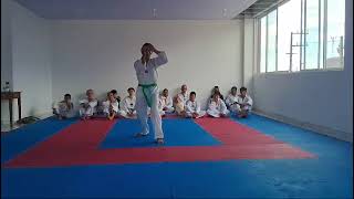 Poomsae 4 Taekwondo Taegeuk Sa Jang [upl. by Enitsrik]