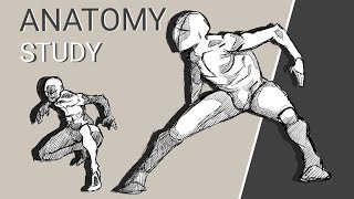 How to draw basic ANATOMY  Easy Anatomy Drawing [upl. by Asteria]