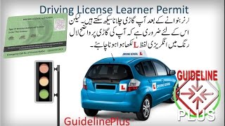 Driving license learner Form Learner permit Driving form fillup DLIMS PITB Traffic License لرنر پرمٹ [upl. by Yelrahc]