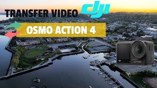 how to transfer video from the osmo action 4 wirelessly [upl. by Lama]