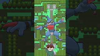 Could I beat these Pokémon in a fight  Croagunk Toxicroak [upl. by Linis]