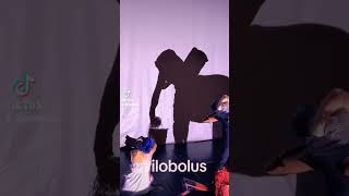 Microdose Pilobolus from Shadowland [upl. by Yrok729]