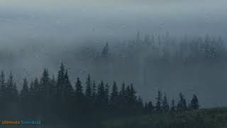 Mountain Rain amp Thunderstorm Sleep Sounds Ambient Noise For Sleep amp Meditation Ultizzz day36 [upl. by Petula]