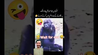 Monkey funny viralvideo funny comedy viralshort viralyoutube [upl. by Boarer]