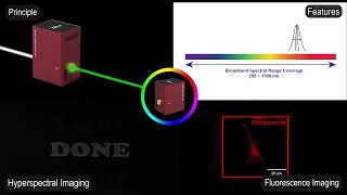 Flexible Wavelength SelectorFWS Introduction and application [upl. by Roana75]