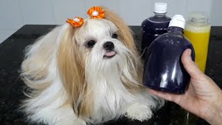 MARAVILHOSO SHAMPOO ANTI ALÉRGICO DESAMARELADOR PARA PETS [upl. by Frieda]