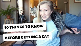 10 things I WISH I knew BEFORE getting a catkitten [upl. by Stortz]