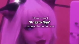 Nay arigato 𝙏𝙞𝙠𝙩𝙤𝙠 𝙑𝙚𝙧𝙨𝙞𝙤𝙣 slowed to perfection leateq  tokyo [upl. by Jehiah]