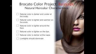 Hair Color HowTo Balayage amp Ombre Tips Tricks and Techniques [upl. by Airbas]