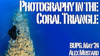 Recent Photography In The Coral Triangle [upl. by Ymmik]