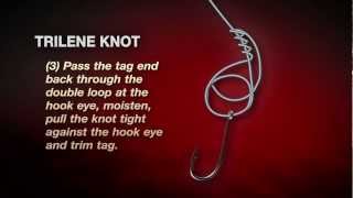 How To Tie A Berkley Trilene Knot In 3 Easy Steps [upl. by Rego638]