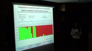 Population genetics of Phytophthora infestans [upl. by Colligan]