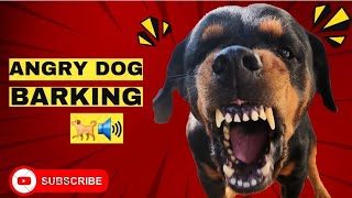 Aggressive Reactive Barking  Angry Rottweiler 🔥 [upl. by Clotilde]