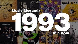 1993 in 1 Hour  Top hits including Counting Crows Duran Duran U2 The Cranberries and many more [upl. by Shlomo]