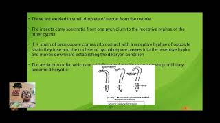 Structure reproduction and life history of PucciniaII [upl. by Calypso355]