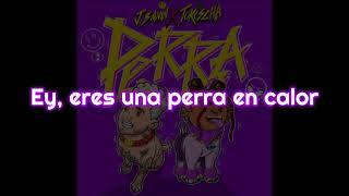 J Balvin Tokischa  Perra KARAOKE [upl. by Laamaj]