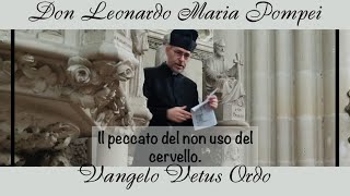 Il peccato del non uso del cervello [upl. by Ayidah]