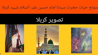 Shahnama Karbala Imamm hussain  Punjabi Voice By Fatima  1stMuharam TasveerEKarbala [upl. by Kampmann113]