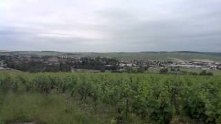 Tour of Chablis Grand Cru with Domaine Louis Michel [upl. by Angel]