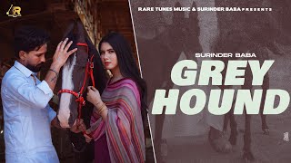 Greyhound  Full Song  Surinder Baba  G Skillz  New Punjabi Song 2024  Latest Punjabi Song 2024 [upl. by Lednor]