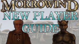 Elder Scrolls 3 Morrowind  2024 New Player Guide [upl. by Alleciram]