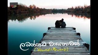 Labannata Wasanawak Slowed amp Reverb song kassa music slowedreverb [upl. by Lipscomb]