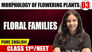 MORPHOLOGY OF FLOWERING PLANTS 03  Floral Families  Botany  Pure English  Class 11thNEET [upl. by Yrocej399]