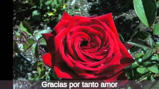 Gracias por tanto amor  Joan Sebastian [upl. by Amanda]