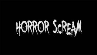 Horror Sound Effect Horror Scream [upl. by Attayek226]