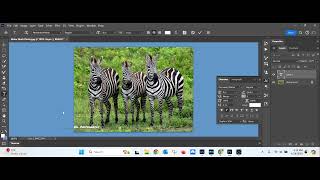 Photoshop Watermark Demo [upl. by Whang]