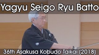 Yagyu Seigo Ryu Batto  36th Asakusa Kobudo Taikai 2018 [upl. by Robinette451]