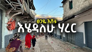 ፀጋዬ እሸቱ  እሄዳለሁ ሃረር  Tsegaye Eshetu  Ehedalehu Harer lyrics [upl. by Ahsercal]