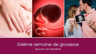 6 semaines de grossesse OU sixième semaine de grossesse [upl. by Subir]