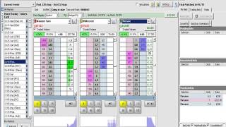 Betfair trading Horse InPlay Trade [upl. by Elohc]