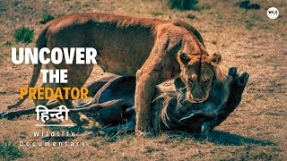 Uncover the Predator  हिन्दी डॉक्यूमेंट्री  Discovery channel Hindi documentary Full Episode [upl. by Luis]