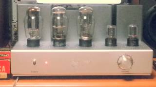 Home made 2A3 Single Ended Integrated Amplifier [upl. by Akenahs680]