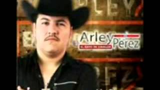 Arley Pérez  La Mafia Dice Corrido Del JT [upl. by Dell]