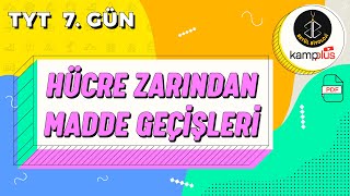 7 Hücre Zarından Madde Geçişleri Konu Anlatımı  9 Sınıf Biyoloji  YKS 2023  TYT Biyoloji 7 Gün [upl. by Oloapnaig]