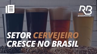 Setor CERVEJEIRO cresce em quase 12 no Brasil [upl. by Michell]