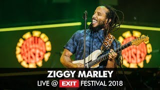 EXIT 2018  Ziggy Marley Live  Main Stage FULL SHOW [upl. by Atreb]