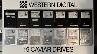 Western Digital Caviar collection  Spin updown of 19 vintage hard drives [upl. by Snodgrass590]